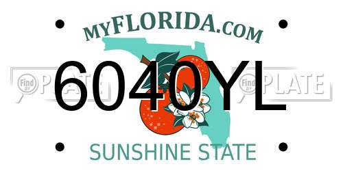6040YL Florida License Plate