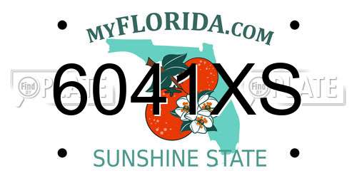 6041XS Florida License Plate