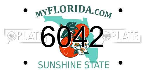 6042 Florida License Plate