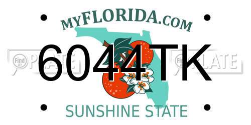 6044TK Florida License Plate