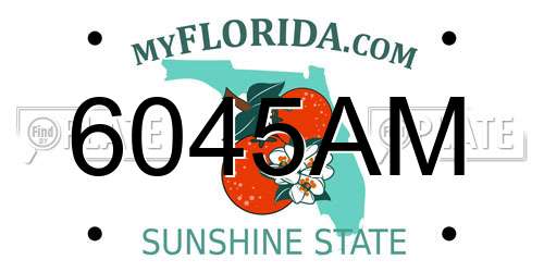 6045AM Florida License Plate