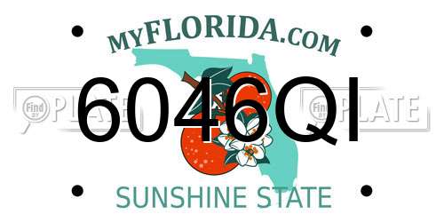 6046QI Florida License Plate