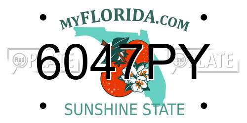 6047PY Florida License Plate