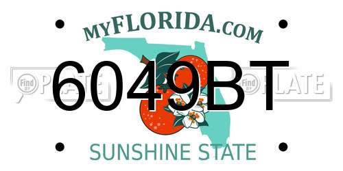 6049BT Florida License Plate