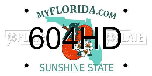 604HD Florida License Plate