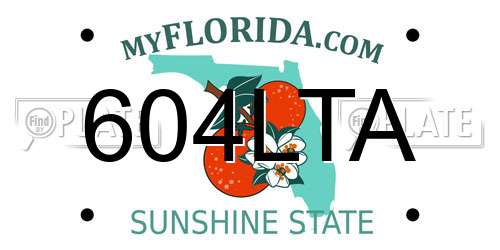 604LTA Florida License Plate