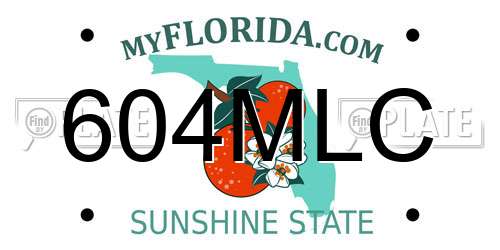 604MLC Florida License Plate