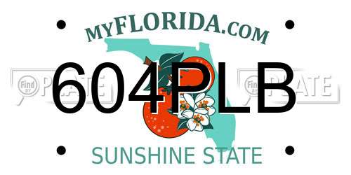 604PLB Florida License Plate