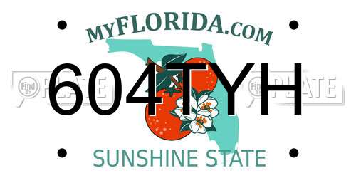 604TYH Florida License Plate