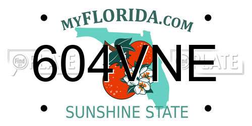 604VNE Florida License Plate