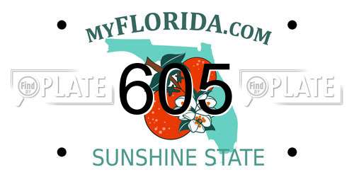 605 Florida License Plate