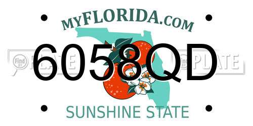 6058QD Florida License Plate