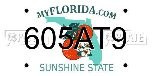 605AT9 Florida License Plate