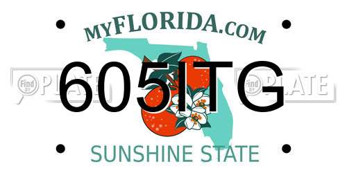 605ITG Florida License Plate