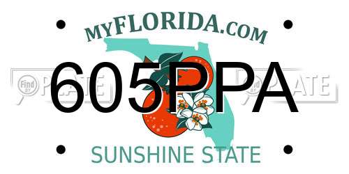 605PPA Florida License Plate