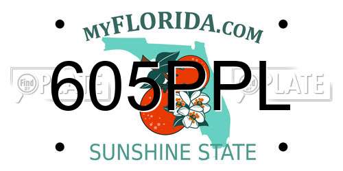 605PPL Florida License Plate