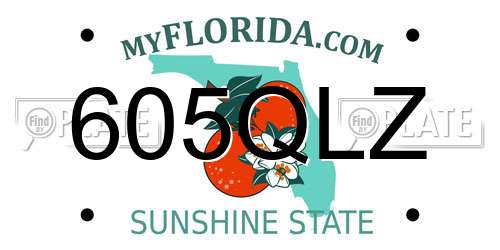 605QLZ Florida License Plate