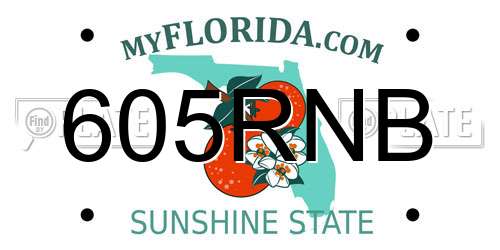 605RNB Florida License Plate