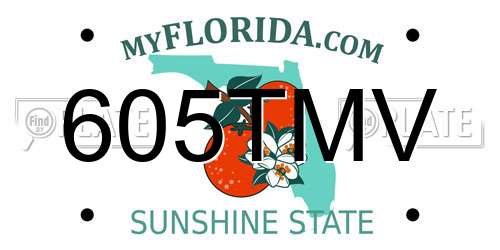 605TMV Florida License Plate