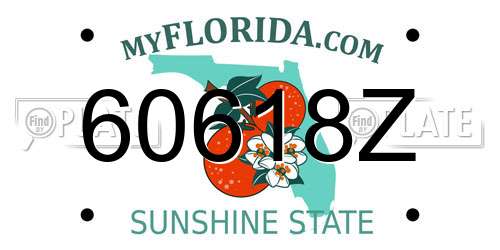 60618Z Florida License Plate