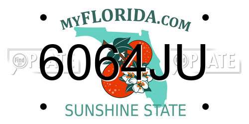 6064JU Florida License Plate