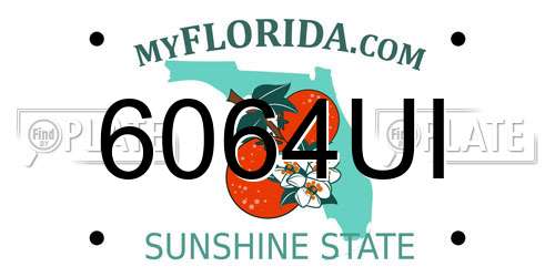 6064UI Florida License Plate