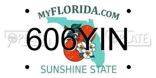 606YIN Florida License Plate