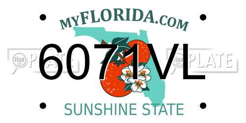 6071VL Florida License Plate
