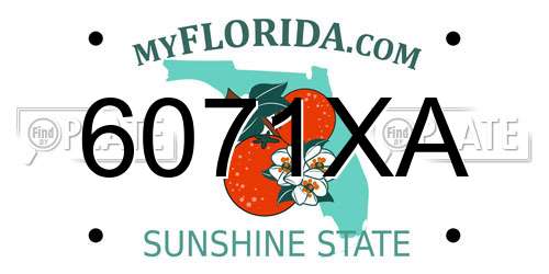 6071XA Florida License Plate