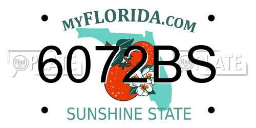 6072BS Florida License Plate