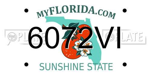 6072VI Florida License Plate