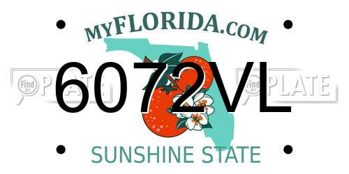 6072VL Florida License Plate