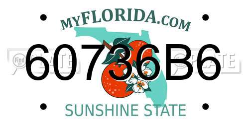 60736B6 Florida License Plate