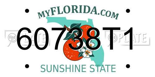 60738T1 Florida License Plate