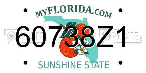 60738Z1 Florida License Plate