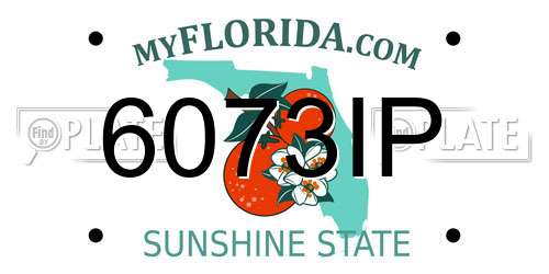 6073IP Florida License Plate