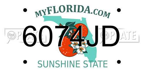 6074JD Florida License Plate