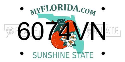 6074VN Florida License Plate