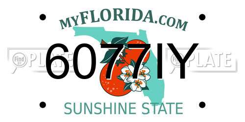 6077IY Florida License Plate