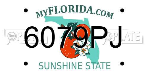 6079PJ Florida License Plate