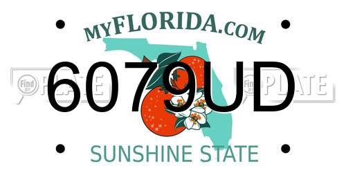6079UD Florida License Plate