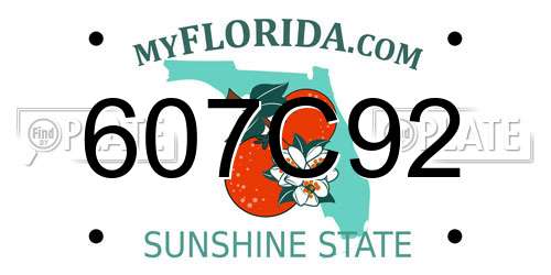 607C92 Florida License Plate