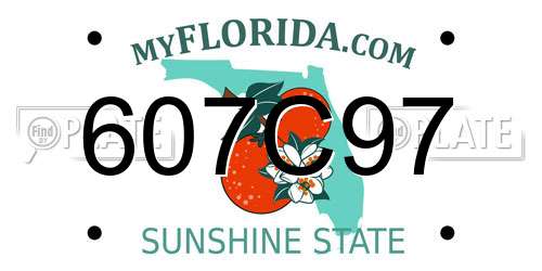 607C97 Florida License Plate