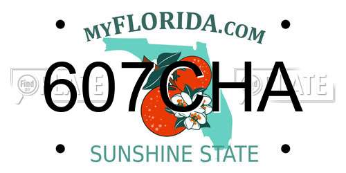 607CHA Florida License Plate