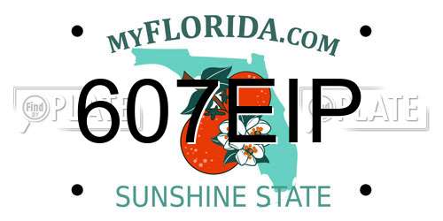 607EIP Florida License Plate