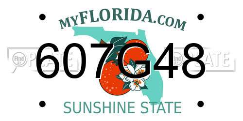 607G48 Florida License Plate