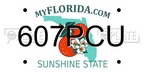 607PCU Florida License Plate