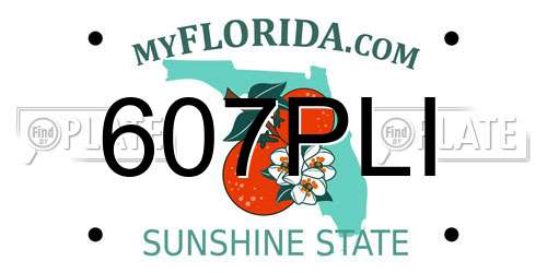 607PLI Florida License Plate