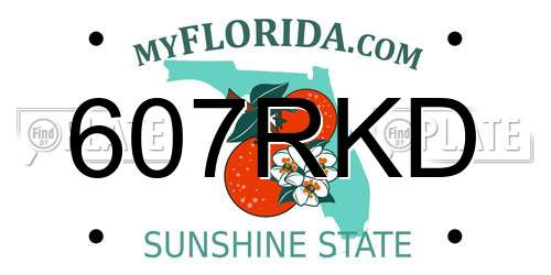607RKD Florida License Plate