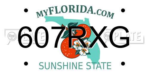 607RXG Florida License Plate
